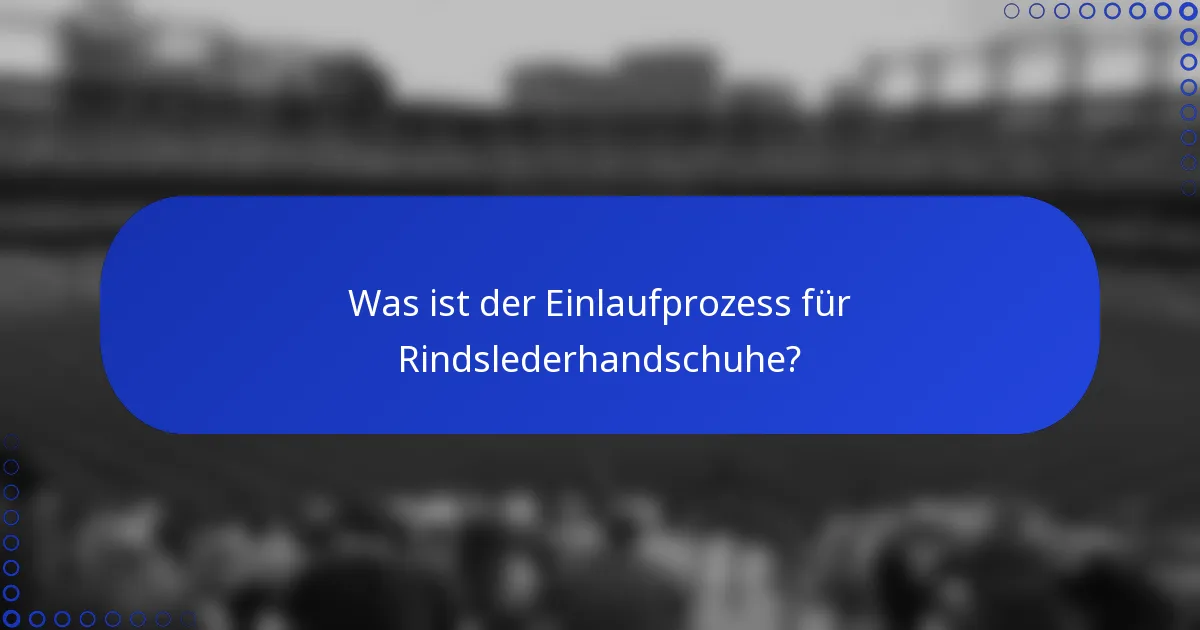 Was ist der Einlaufprozess für Rindslederhandschuhe?