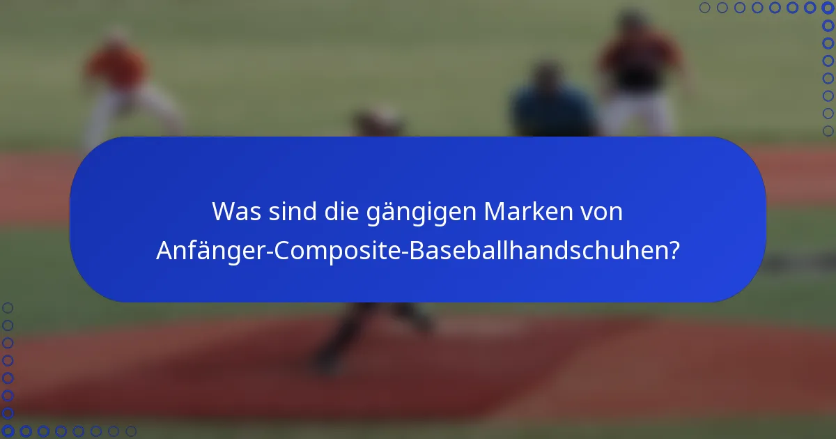Was sind die gängigen Marken von Anfänger-Composite-Baseballhandschuhen?