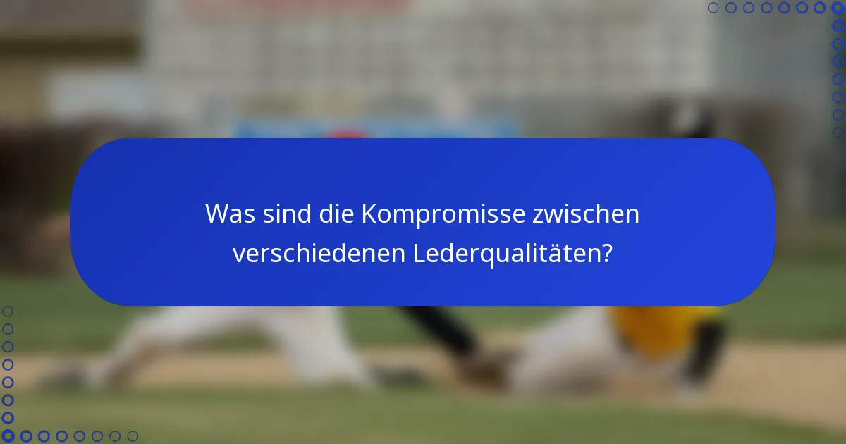 Was sind die Kompromisse zwischen verschiedenen Lederqualitäten?