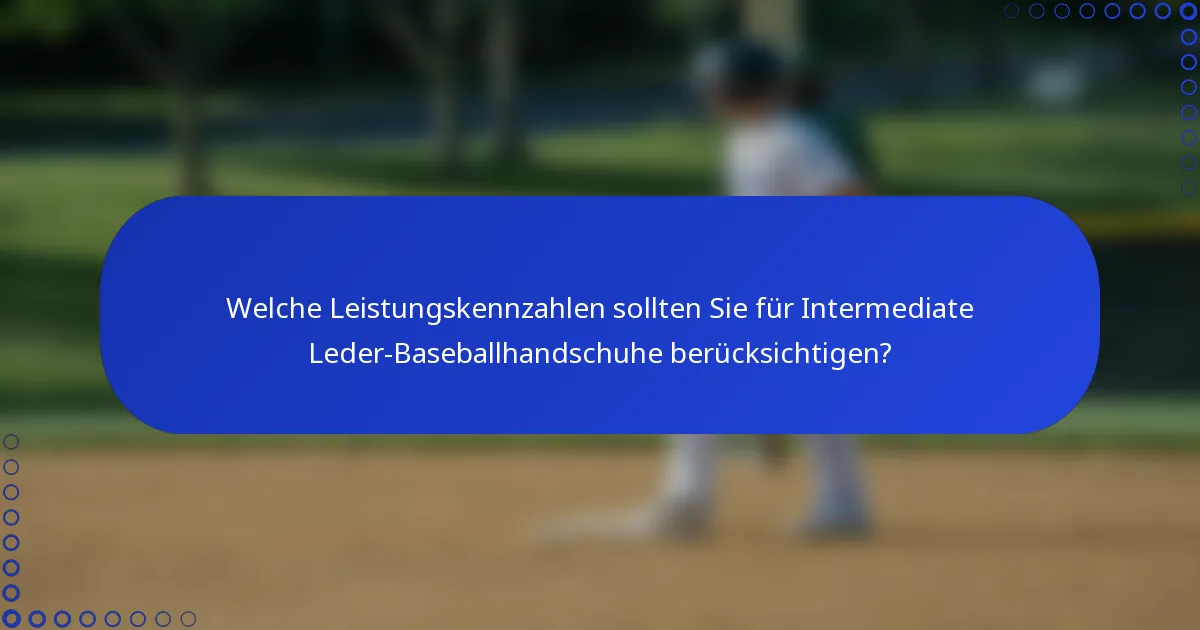 Welche Leistungskennzahlen sollten Sie für Intermediate Leder-Baseballhandschuhe berücksichtigen?