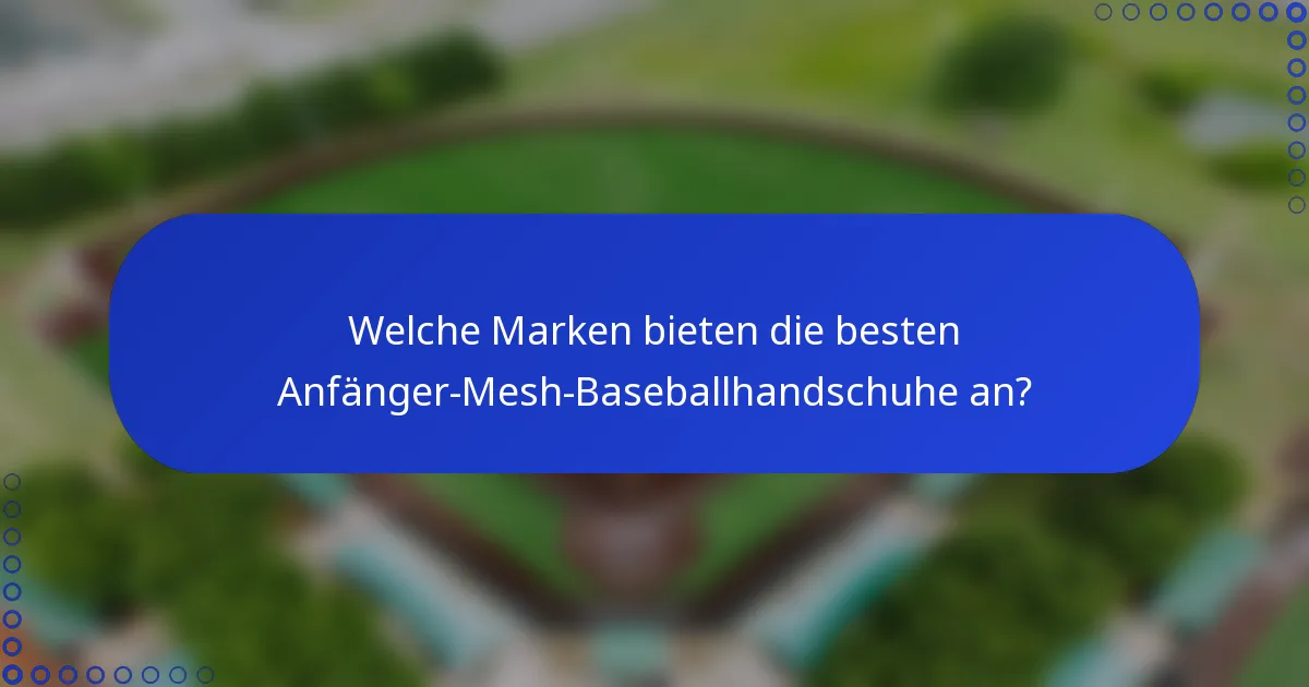 Welche Marken bieten die besten Anfänger-Mesh-Baseballhandschuhe an?