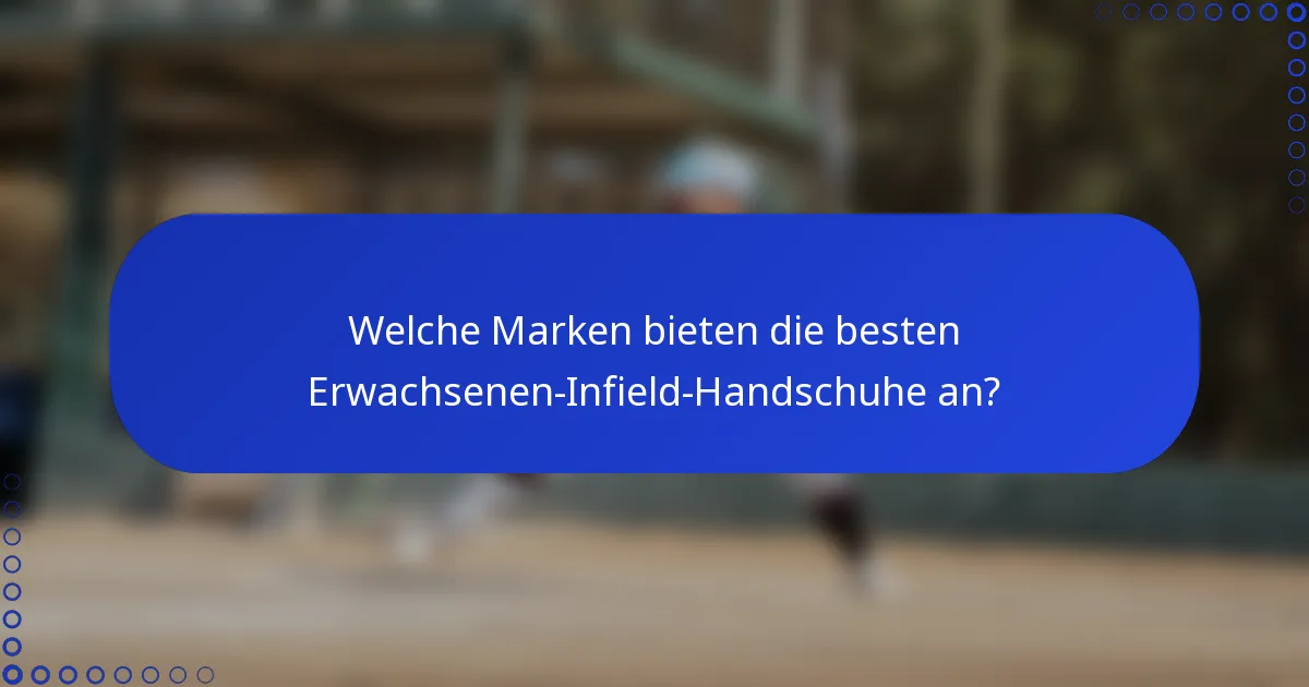 Welche Marken bieten die besten Erwachsenen-Infield-Handschuhe an?