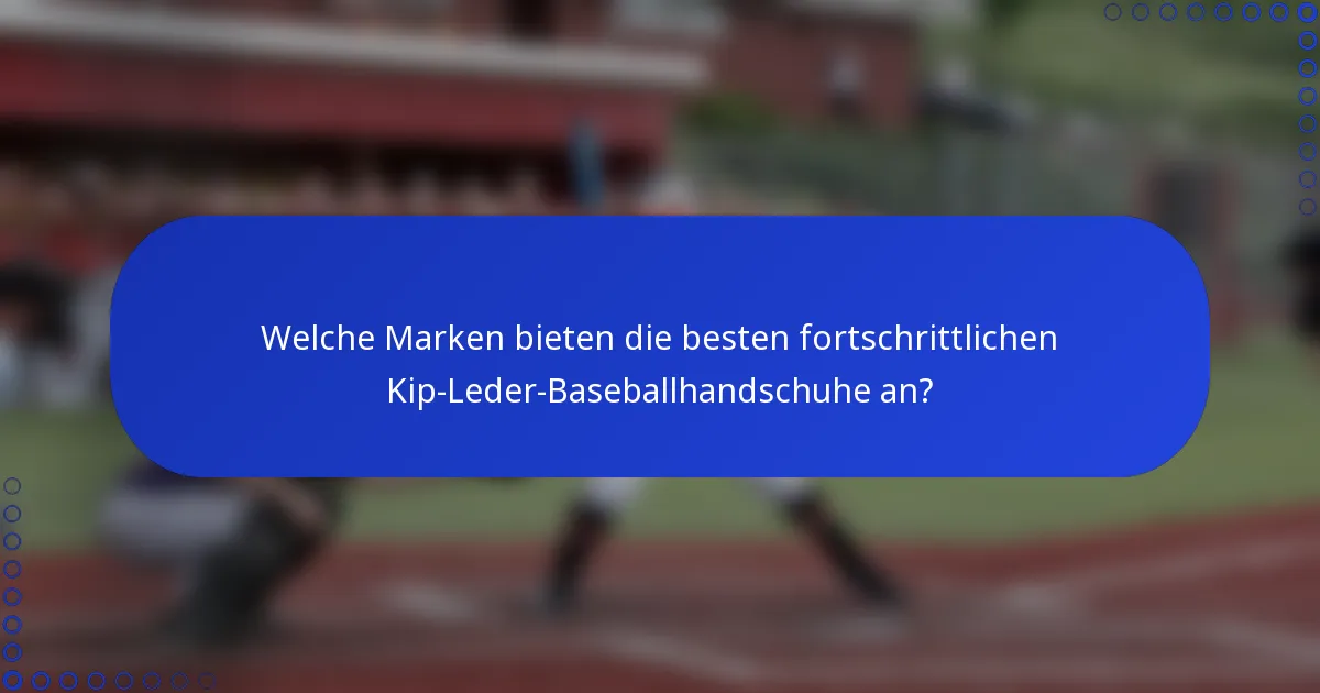 Welche Marken bieten die besten fortschrittlichen Kip-Leder-Baseballhandschuhe an?