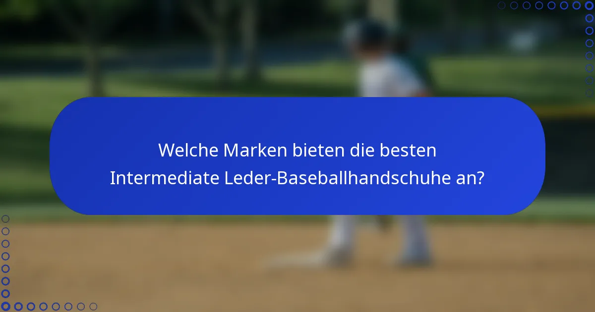 Welche Marken bieten die besten Intermediate Leder-Baseballhandschuhe an?