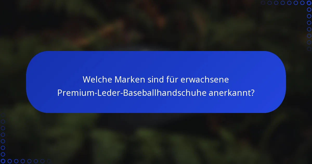 Welche Marken sind für erwachsene Premium-Leder-Baseballhandschuhe anerkannt?