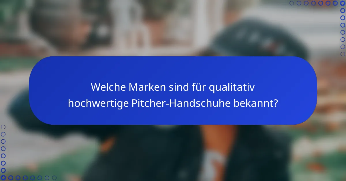 Welche Marken sind für qualitativ hochwertige Pitcher-Handschuhe bekannt?