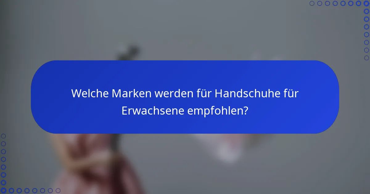 Welche Marken werden für Handschuhe für Erwachsene empfohlen?