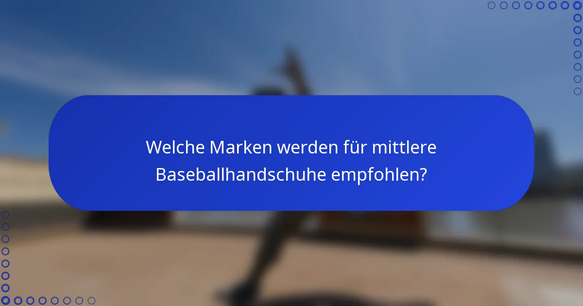 Welche Marken werden für mittlere Baseballhandschuhe empfohlen?