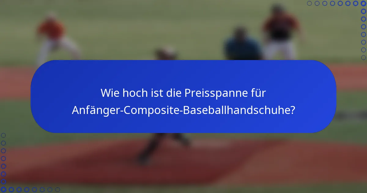 Wie hoch ist die Preisspanne für Anfänger-Composite-Baseballhandschuhe?