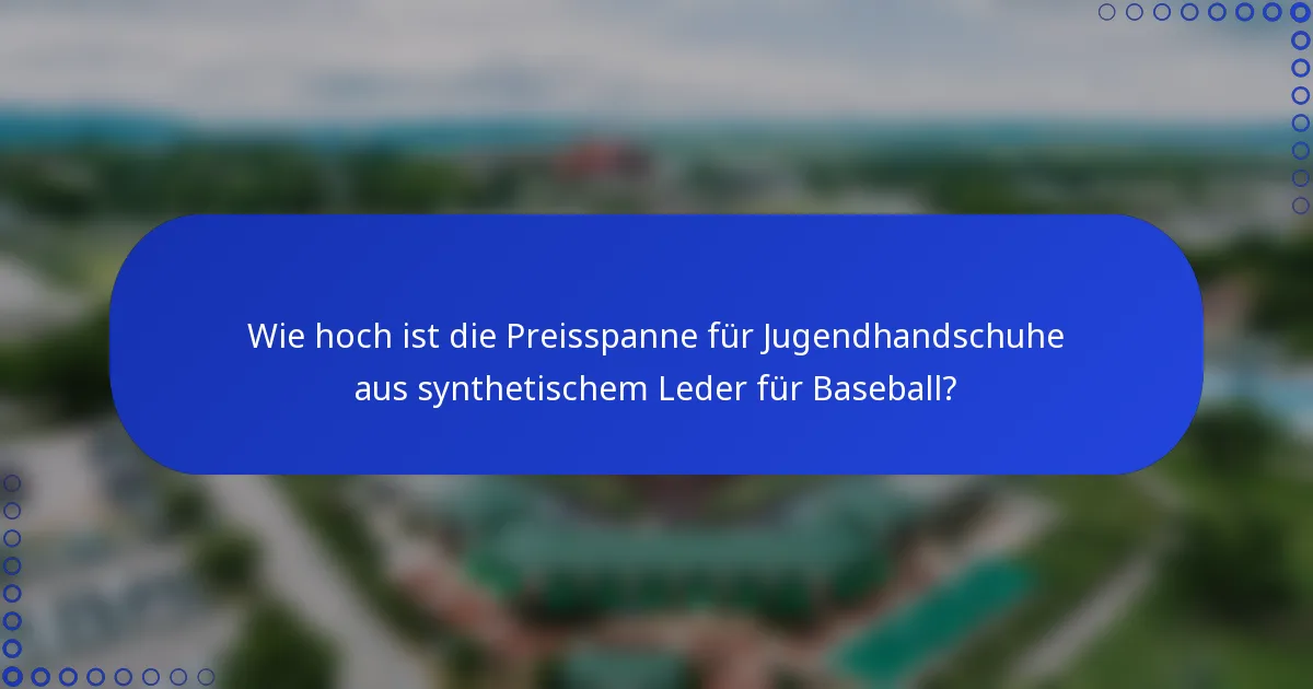 Wie hoch ist die Preisspanne für Jugendhandschuhe aus synthetischem Leder für Baseball?