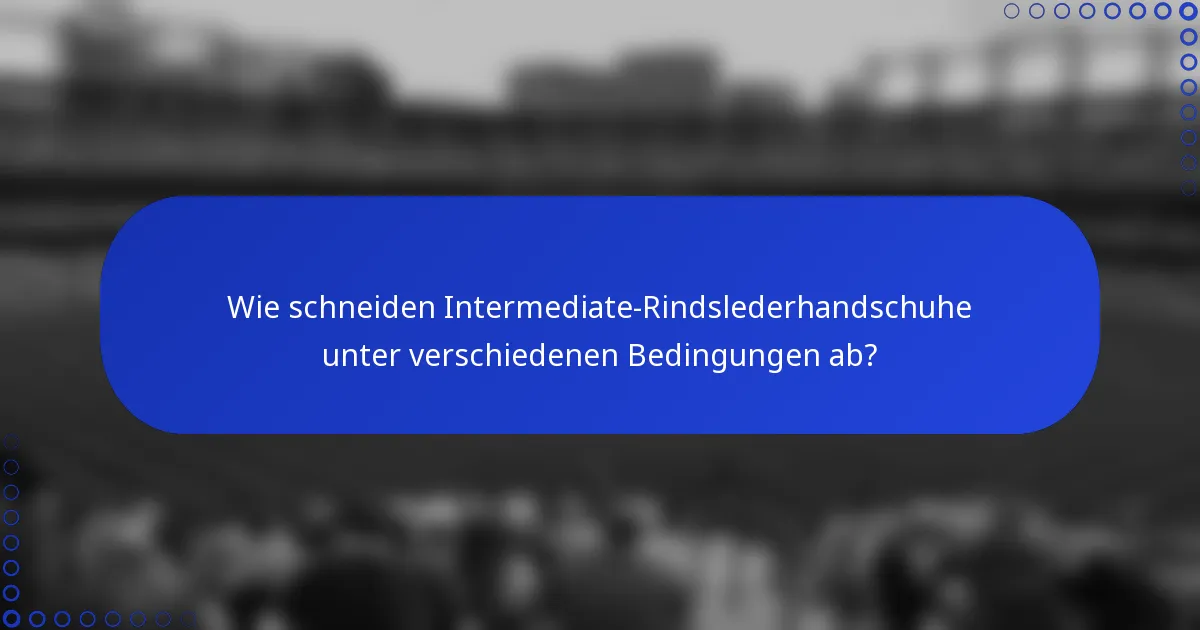 Wie schneiden Intermediate-Rindslederhandschuhe unter verschiedenen Bedingungen ab?